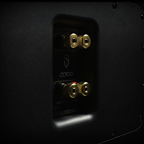 B300 Loudspeaker - Image 10